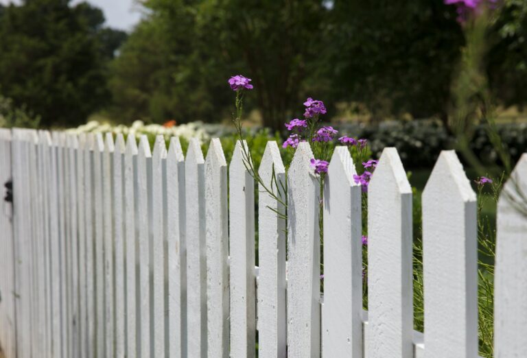 Unkraut vom Nachbarn wächst durch den Zaun: Ihre Rechte und Lösungen im Überblick pink petaled flowers blooms near fence