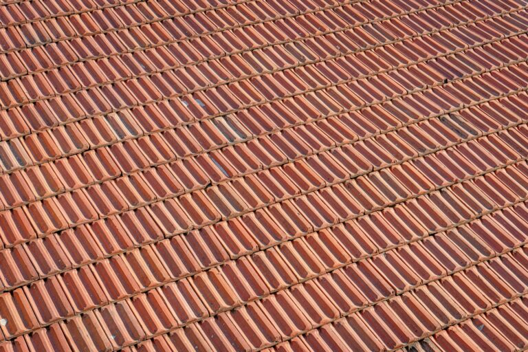 Dachziegel lackieren – Ziegeldach von oben
