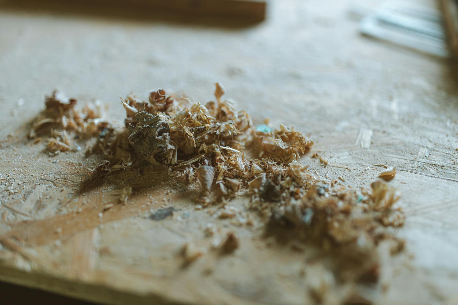 Sägespäne Ofen verbrennen – Kaminofen mit Holzfeuer