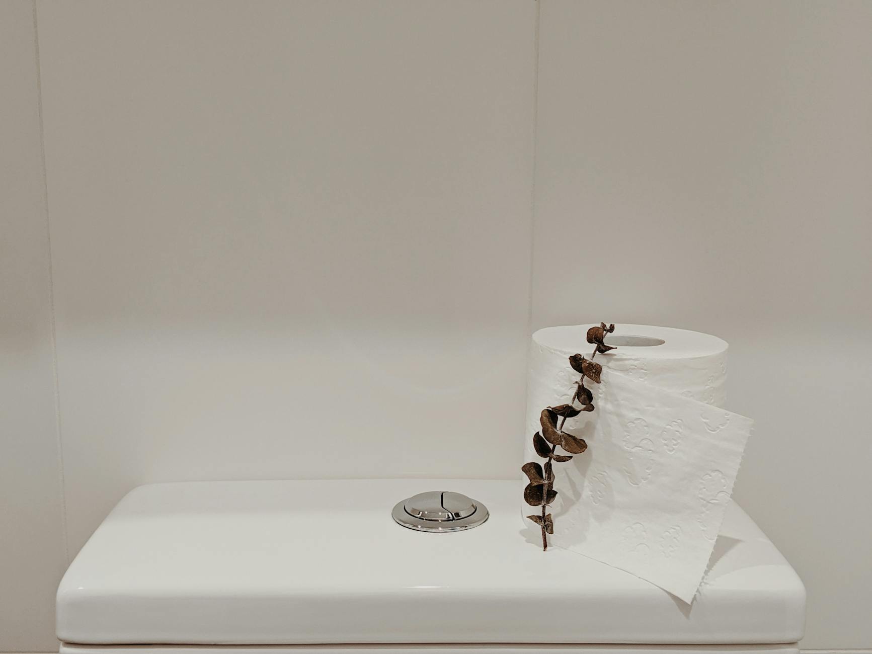 Geberit Spülkasten öffnen – Toilette mit Dekoration im Bad