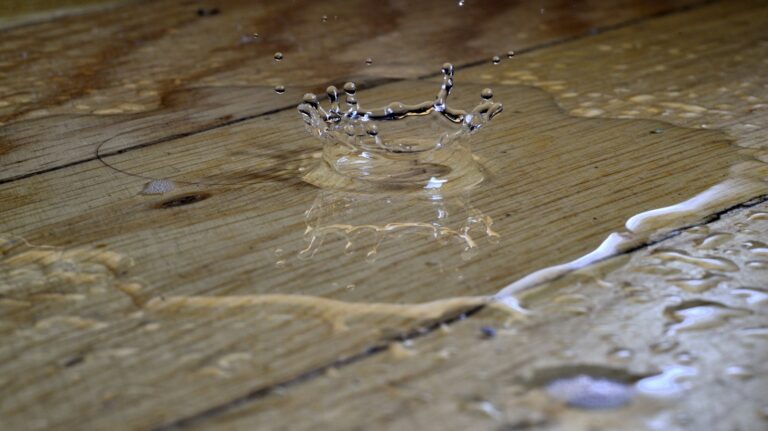 a spider on a wood surface