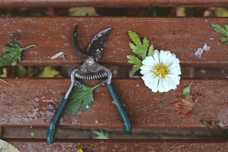 Gartenschere schärfen – Gartenschere mit Blüte auf Holz