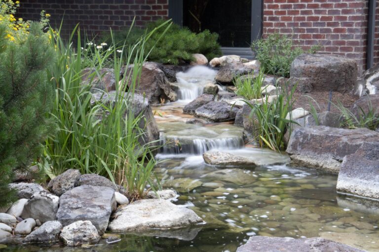 Gartenteich anlegen: Natur im eigenen Garten Gartenteich anlegen – Gartenteich mit Bachlauf und Steinen